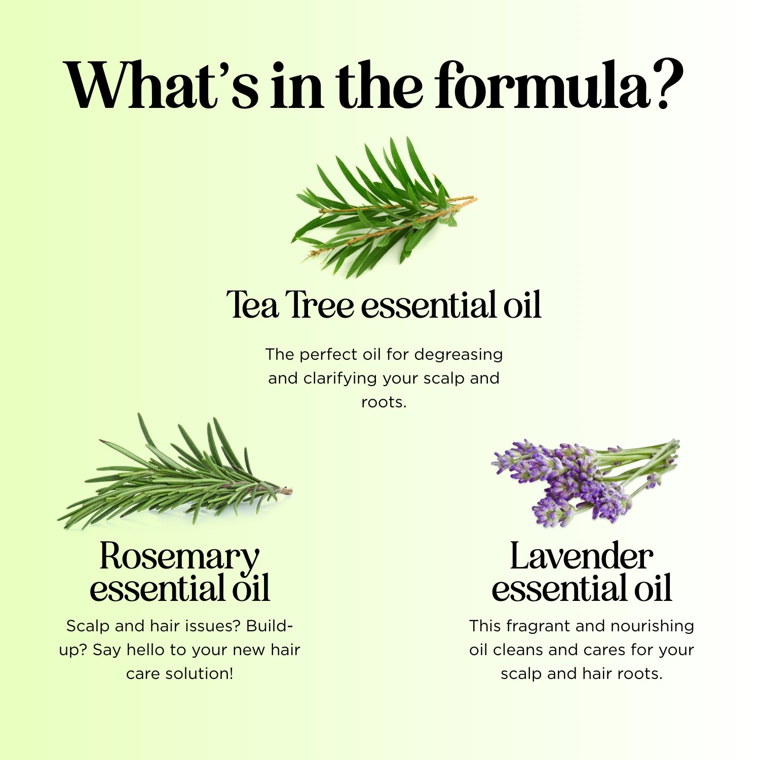 Tea Tree Shampoo - EU Shipping