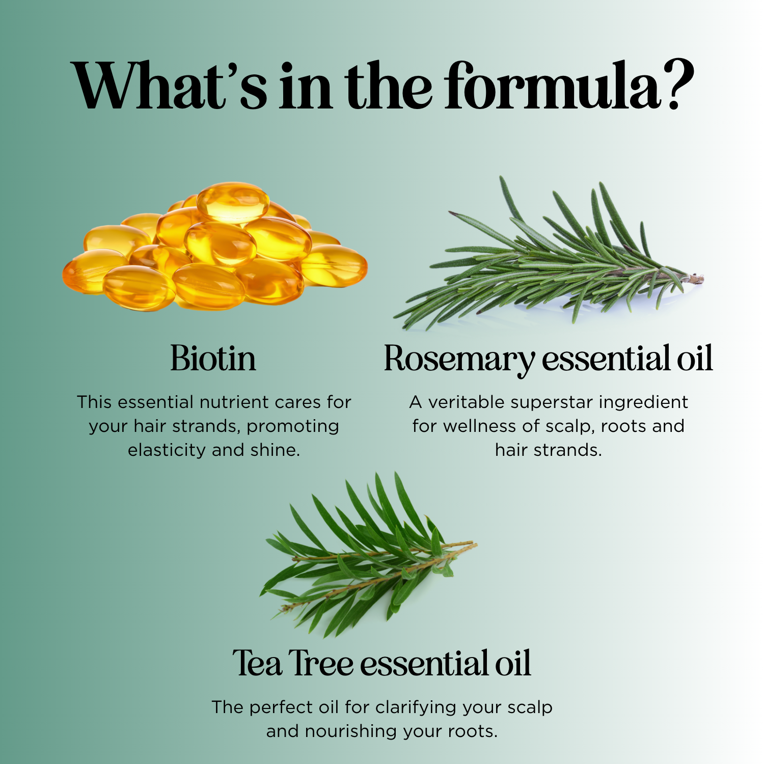 Rosemary Biotin Shampoo - EU Shipping