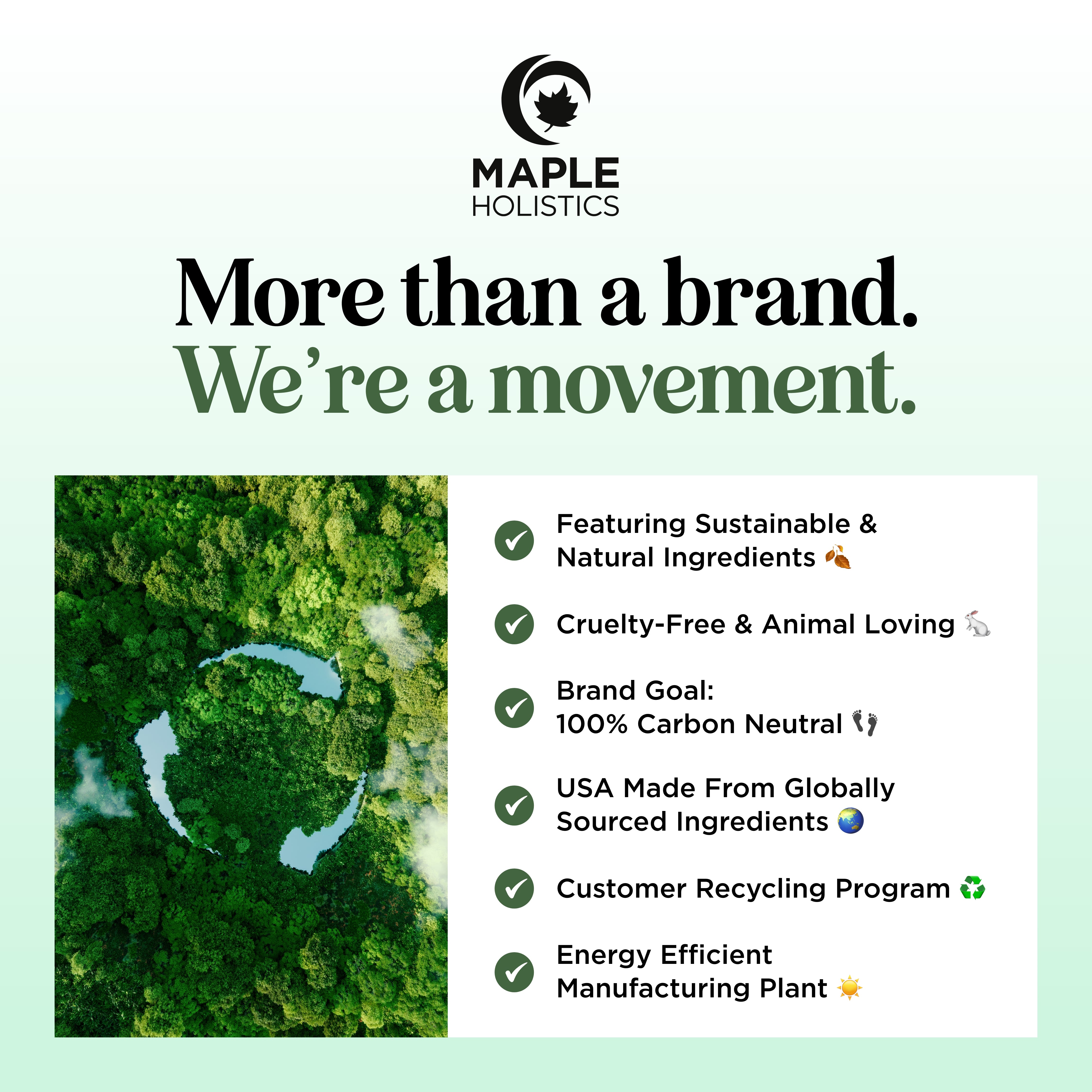 Degrease Shampoo & Tea Tree Conditioner Set