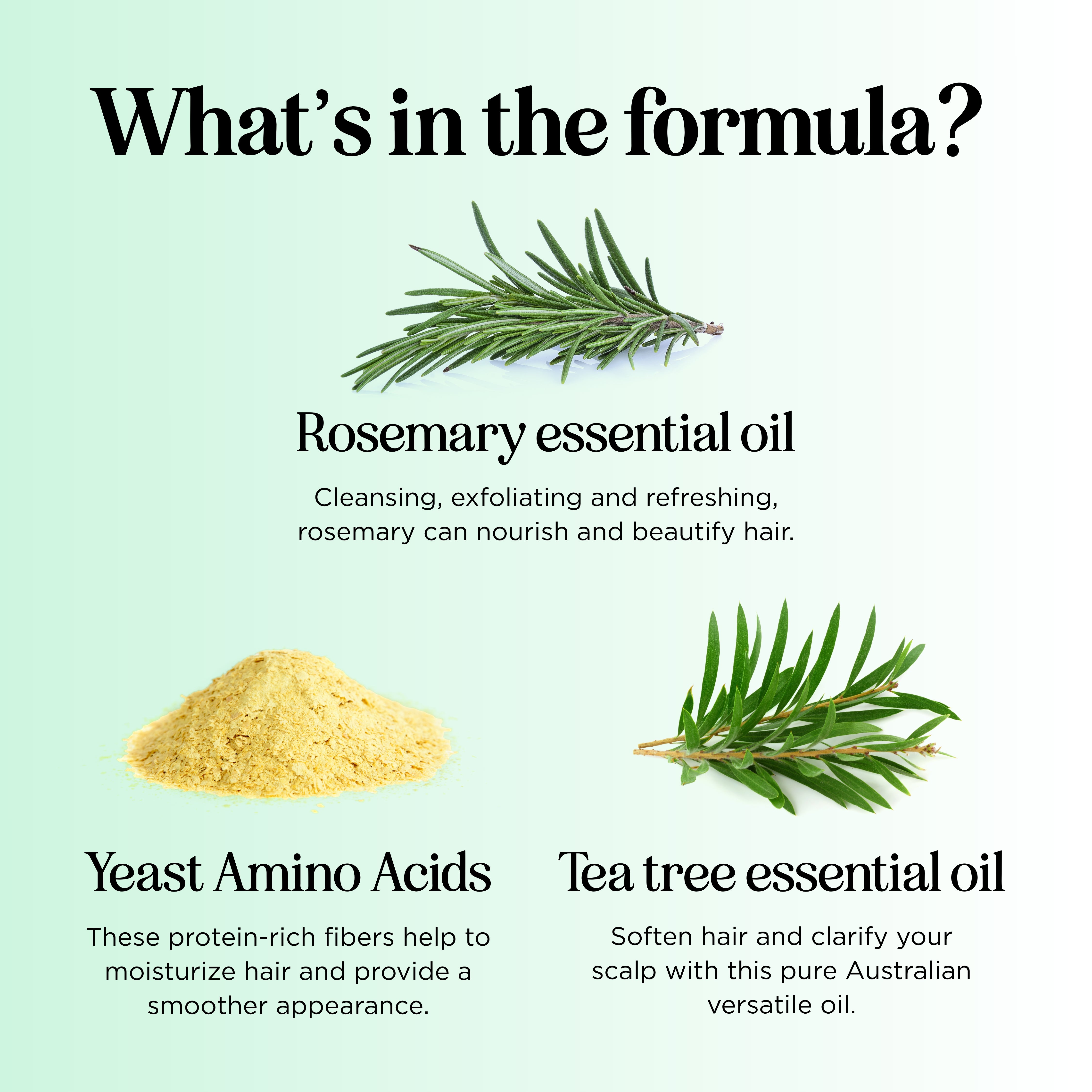 Degrease Shampoo & Tea Tree Conditioner Set