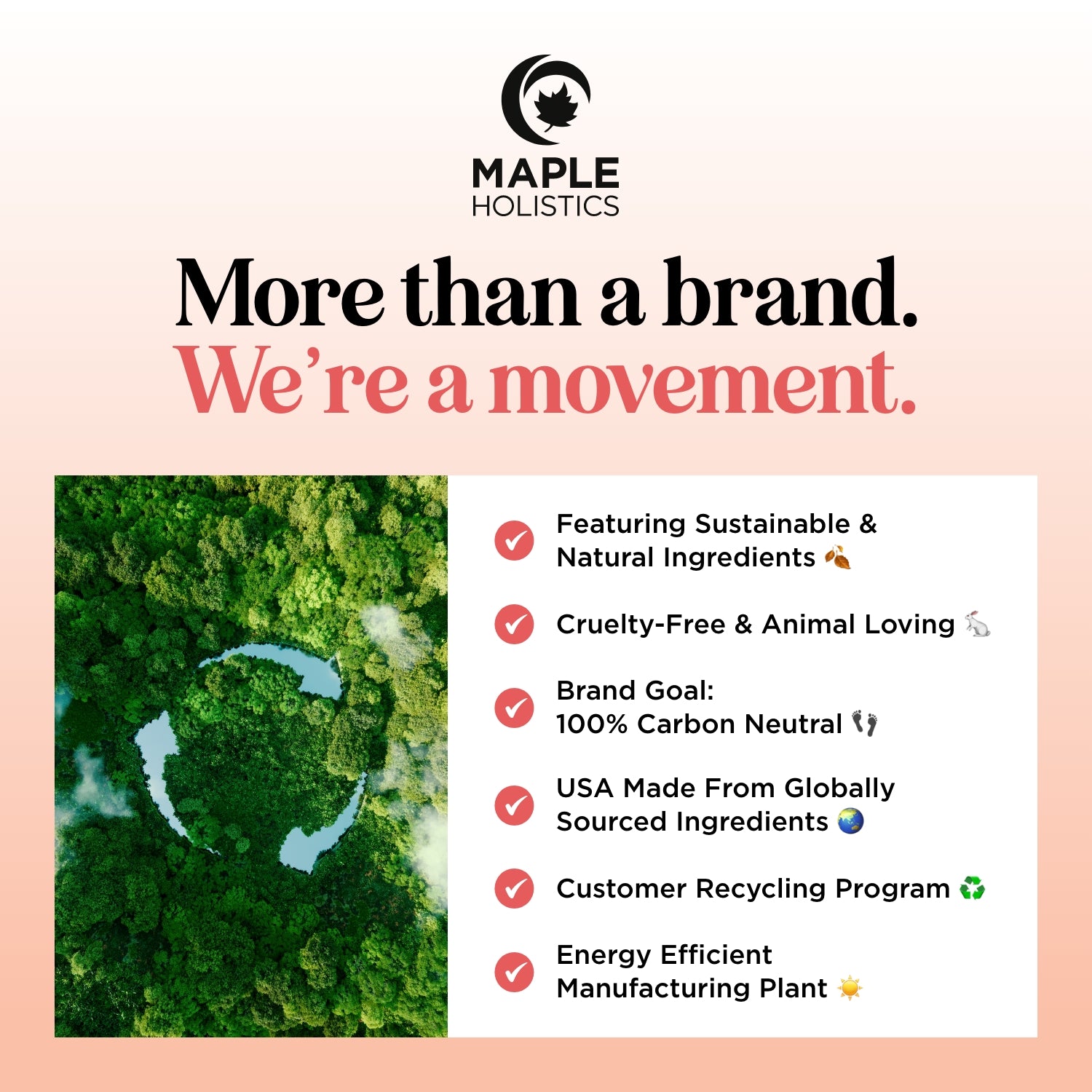 Batana Biotin Shampoo