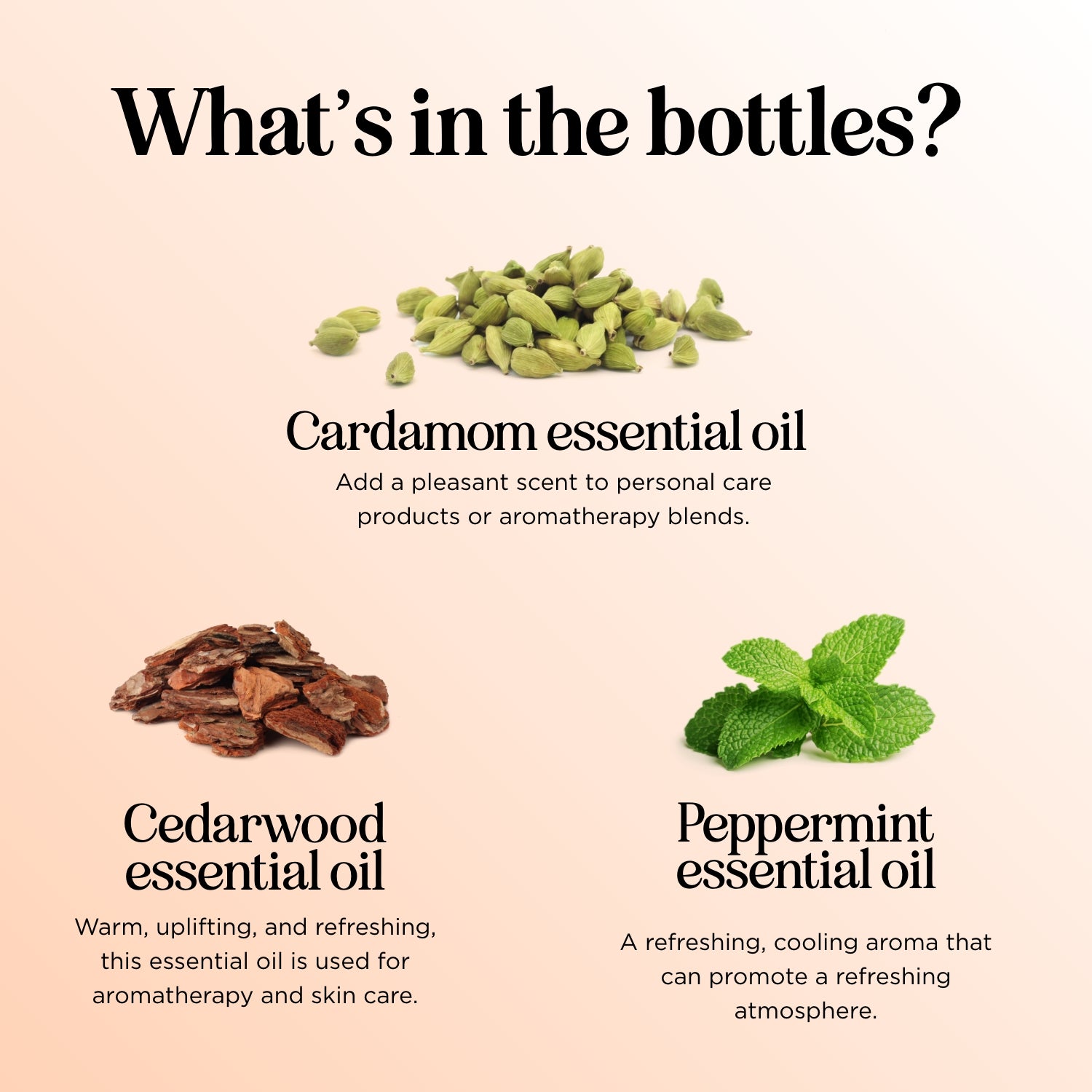 Fall Essential Oil Set