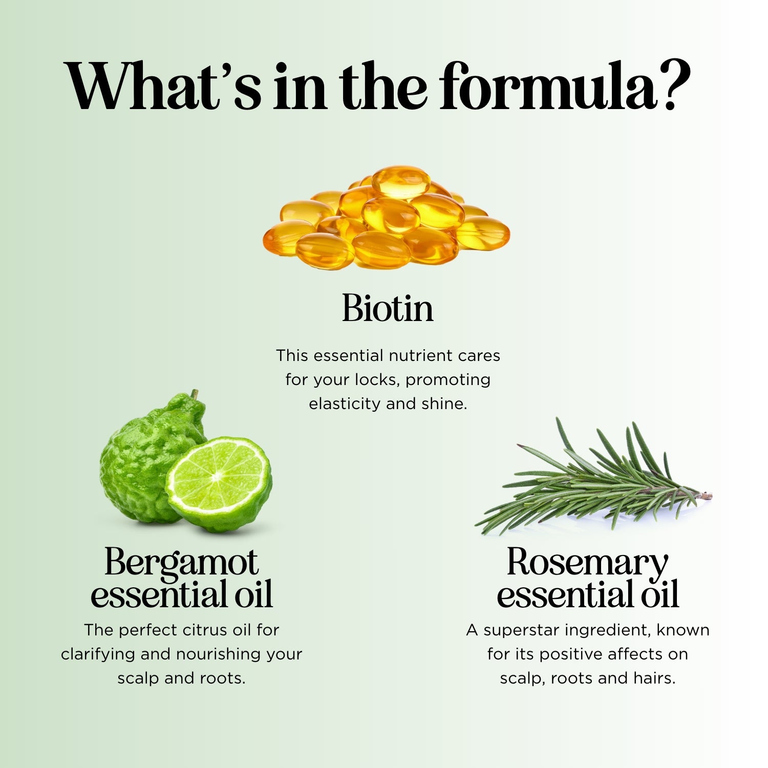 Bergamot Forest Biotin Shampoo