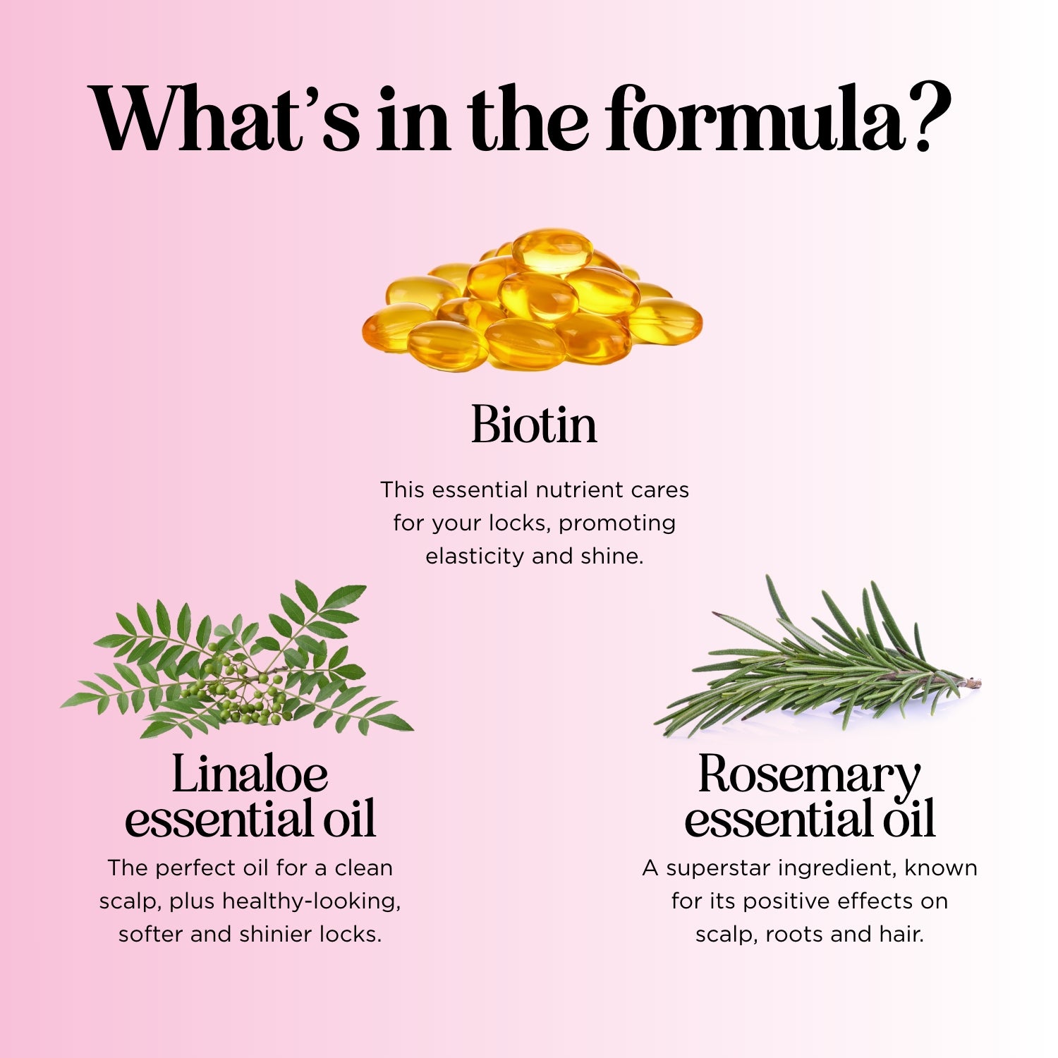 Forest Berry Biotin Shampoo