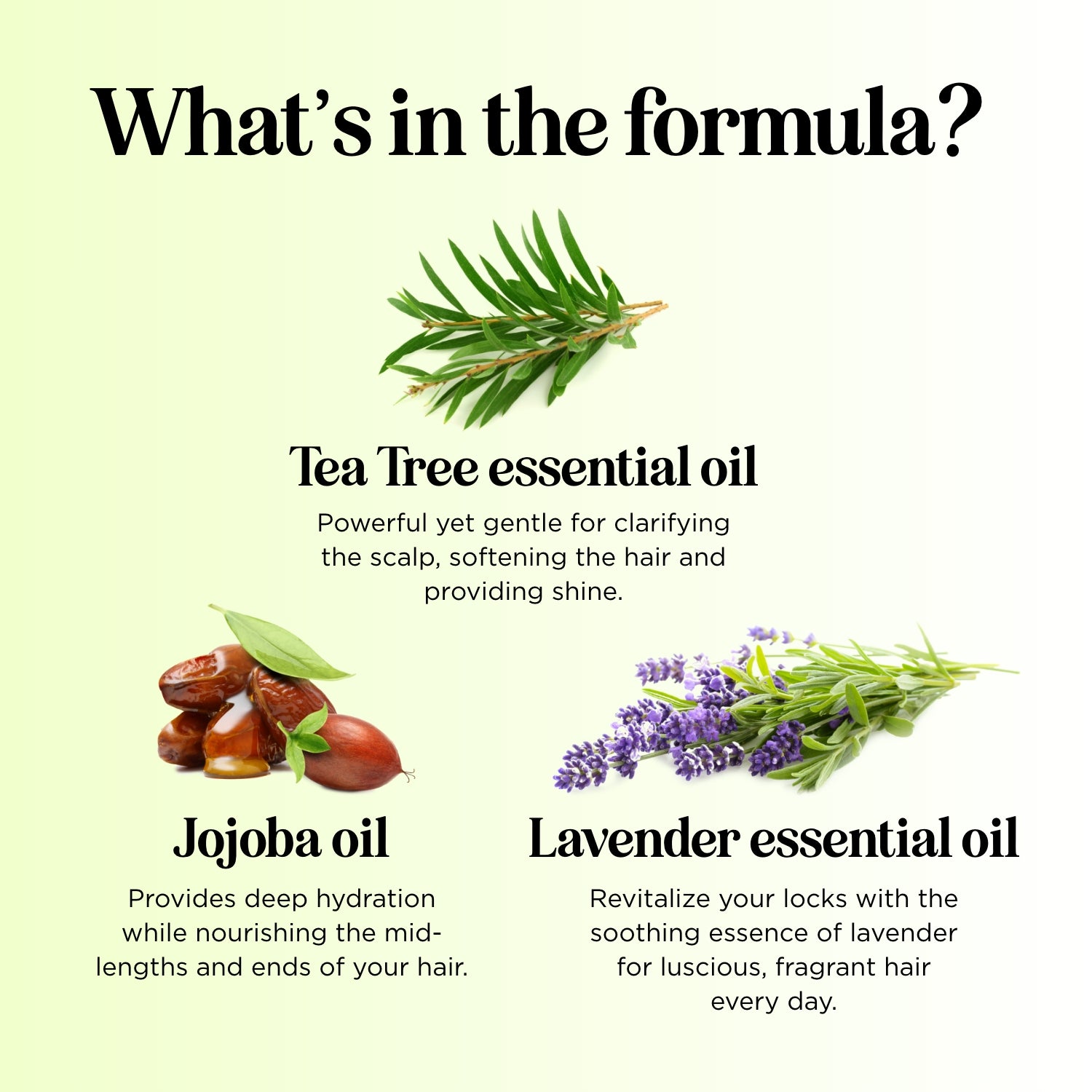 Tea Tree Conditioner