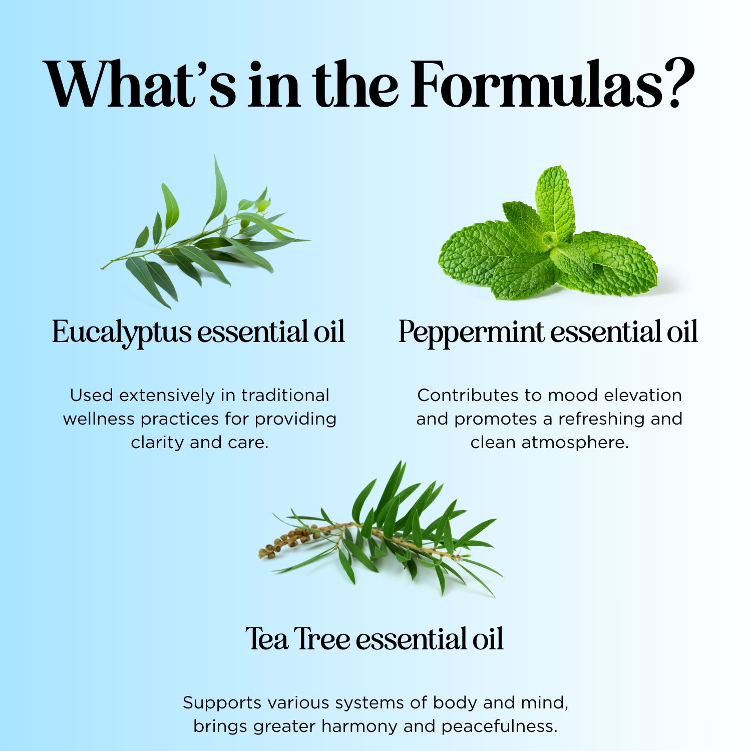 Roll-On Variety Packs