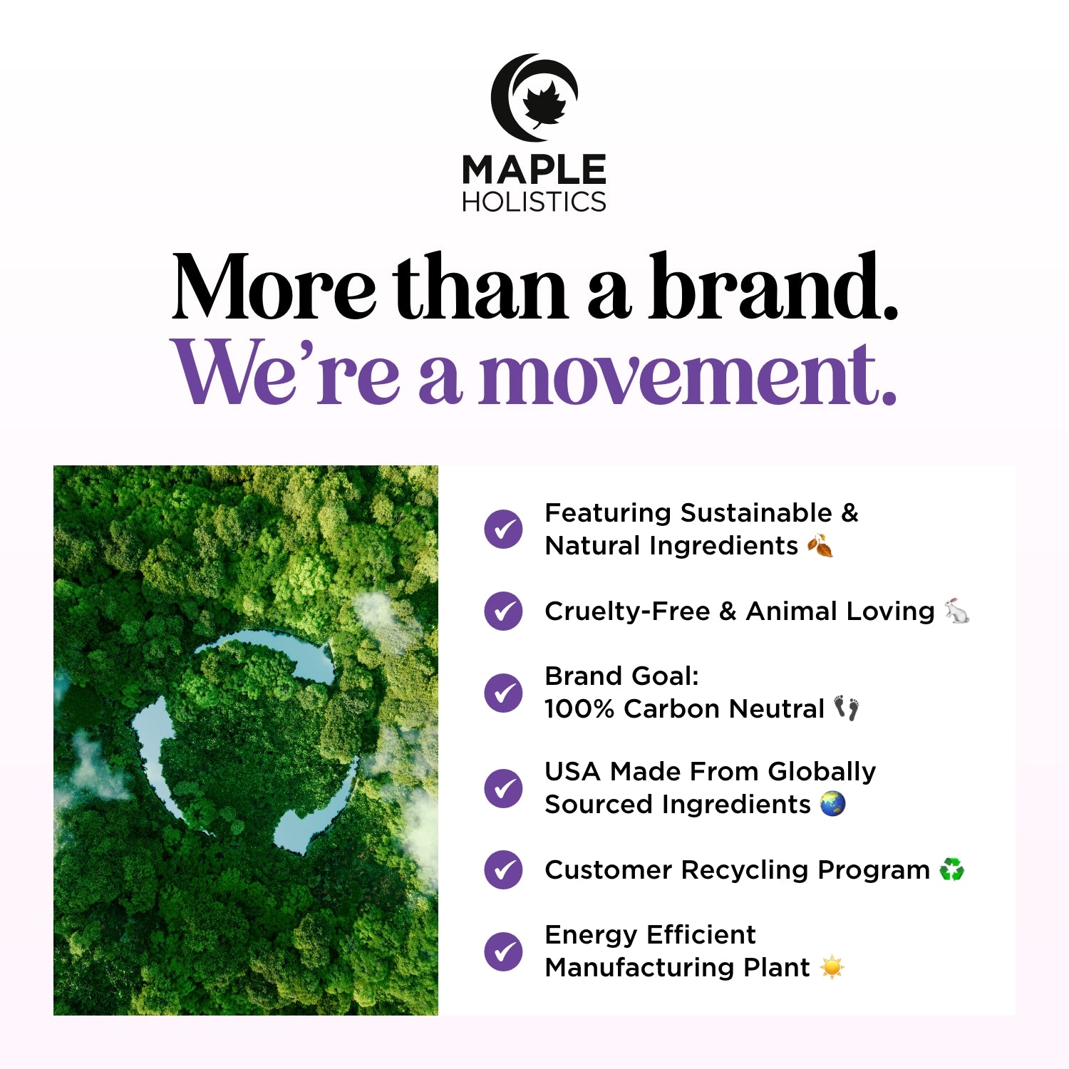 Lavender Floral Biotin Shampoo