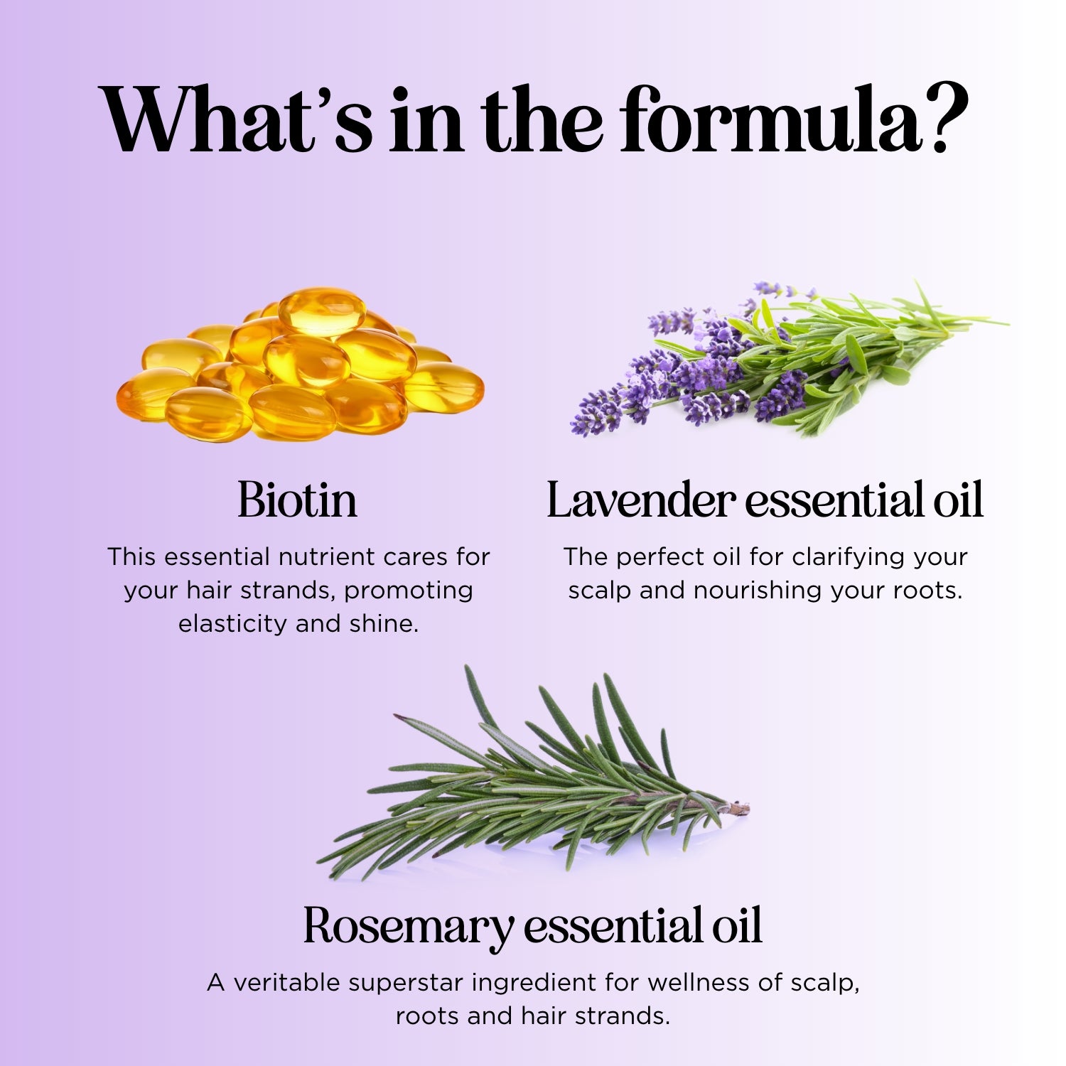 Lavender Floral Biotin Shampoo