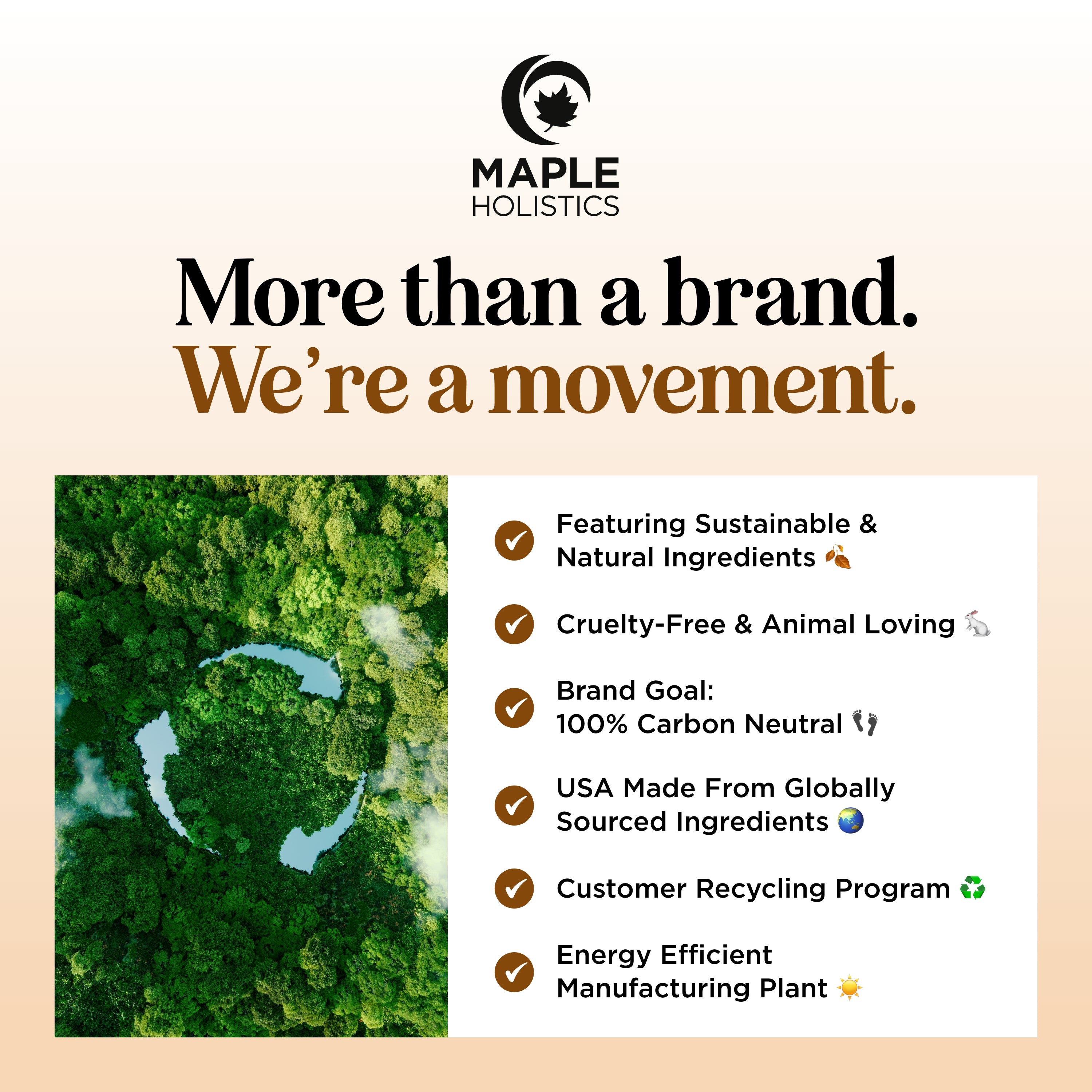 Unscented Massage Oil