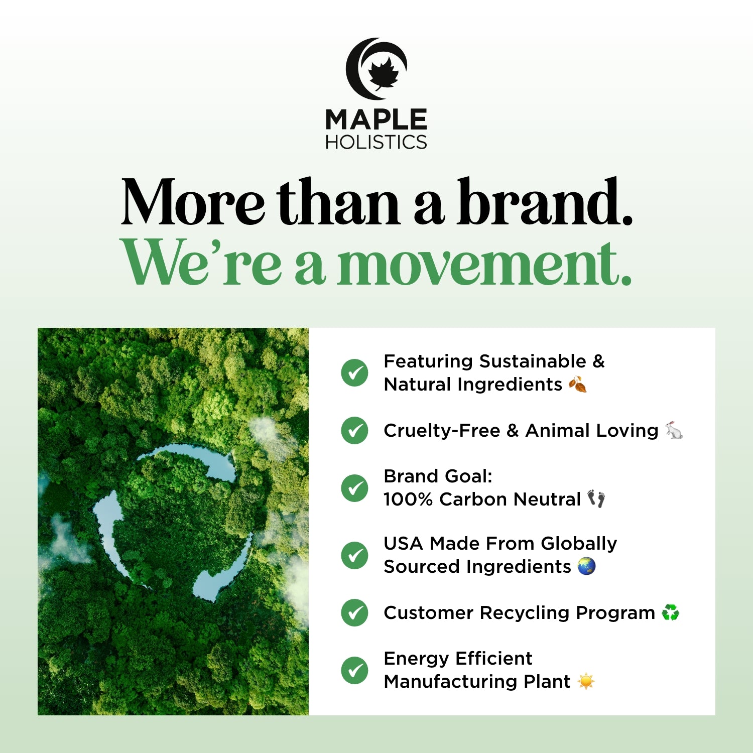 Bergamot Forest Biotin Shampoo