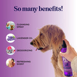 Nourishing Lavender Pet Spray