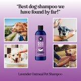 Lavender Oatmeal Pet Shampoo