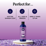 Lavender Oatmeal Pet Shampoo