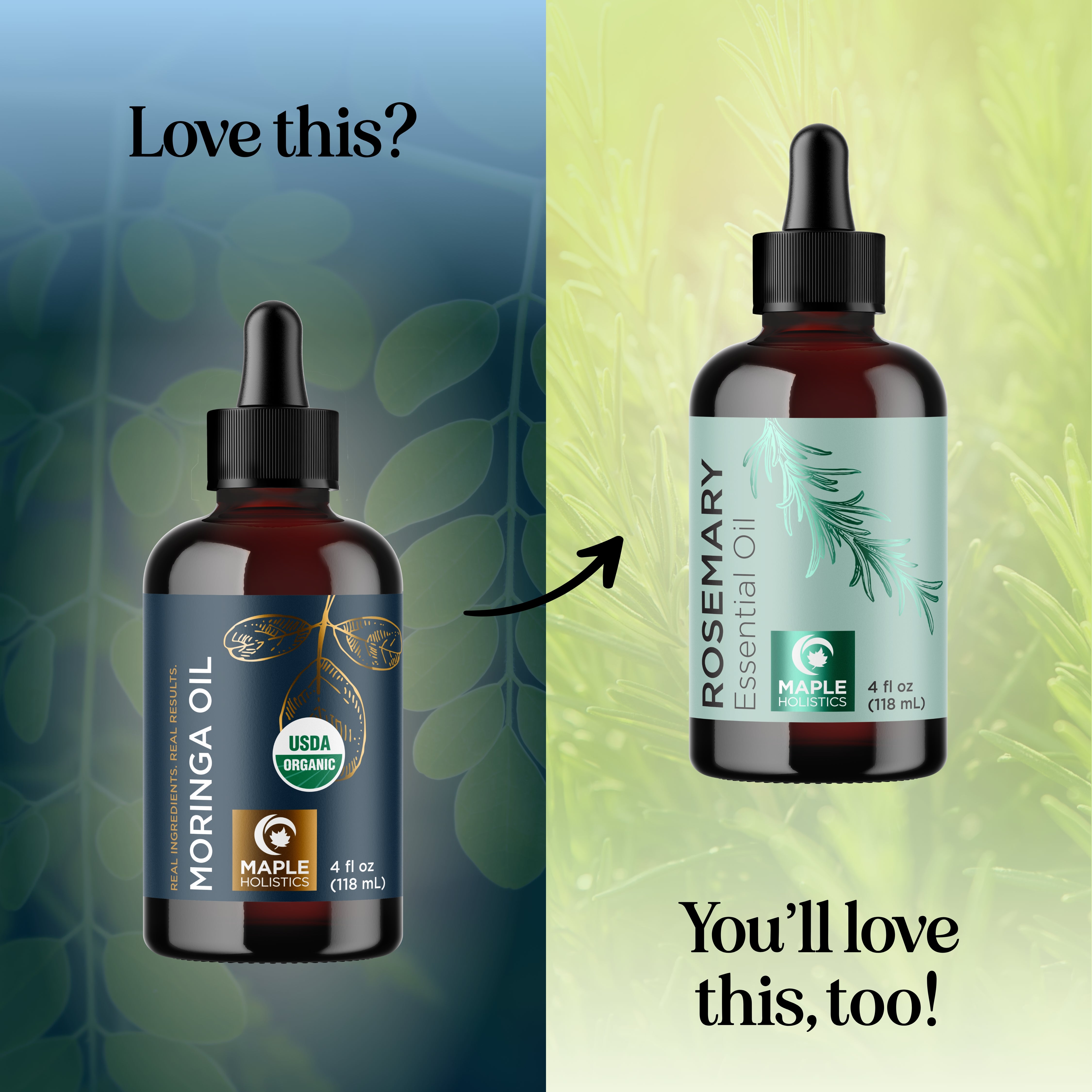 Organic Moringa Oil