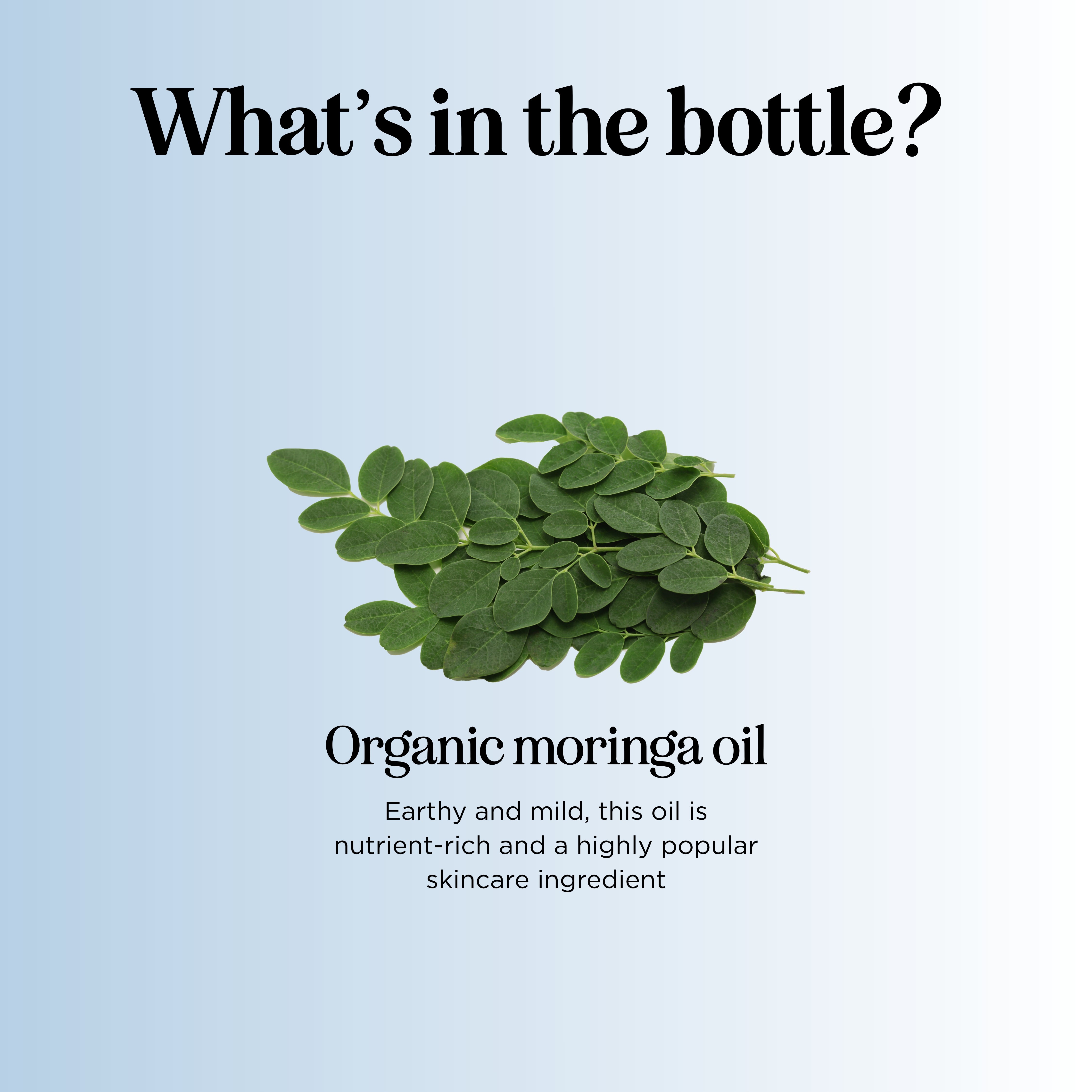 Organic Moringa Oil