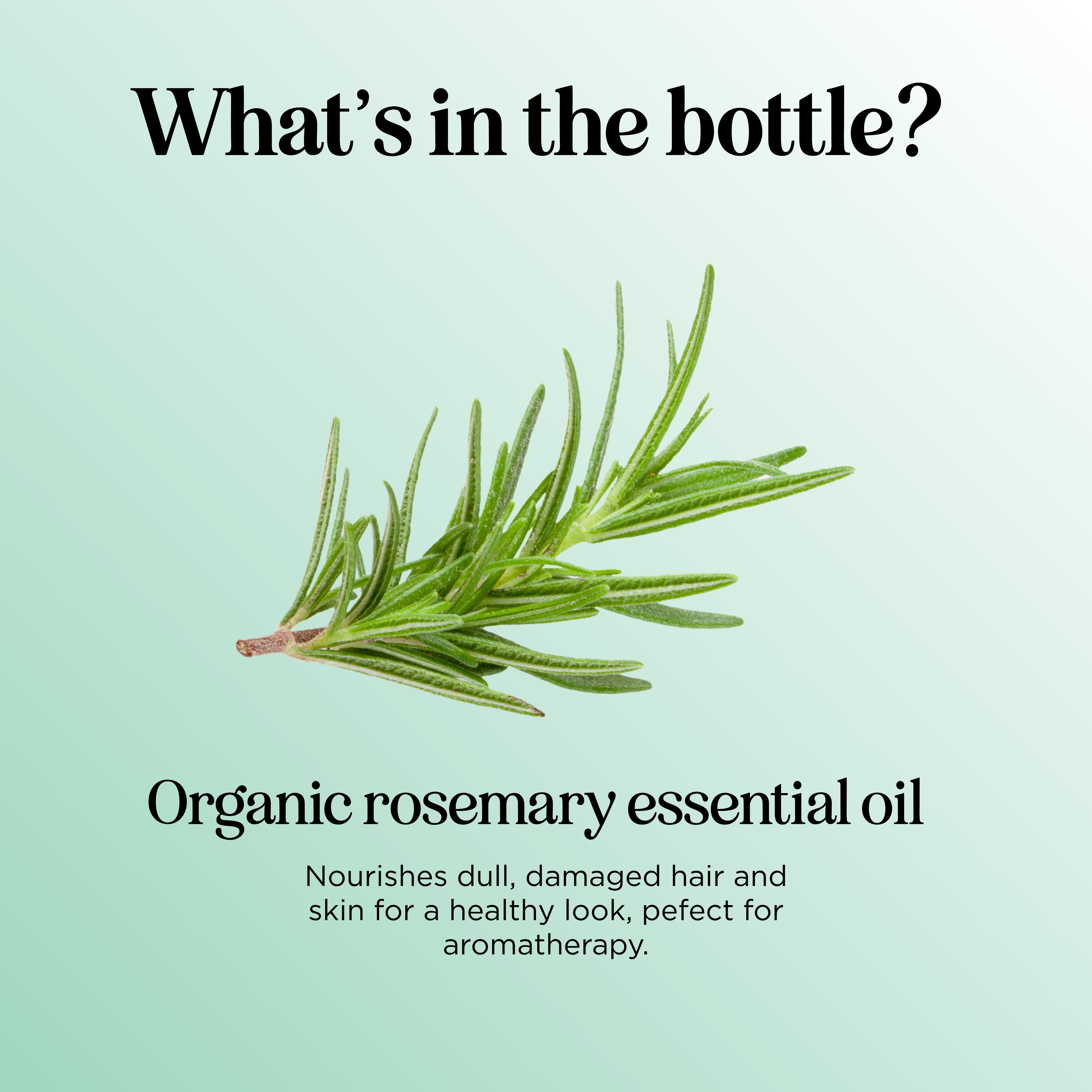 Organic Rosemary Essential Oil