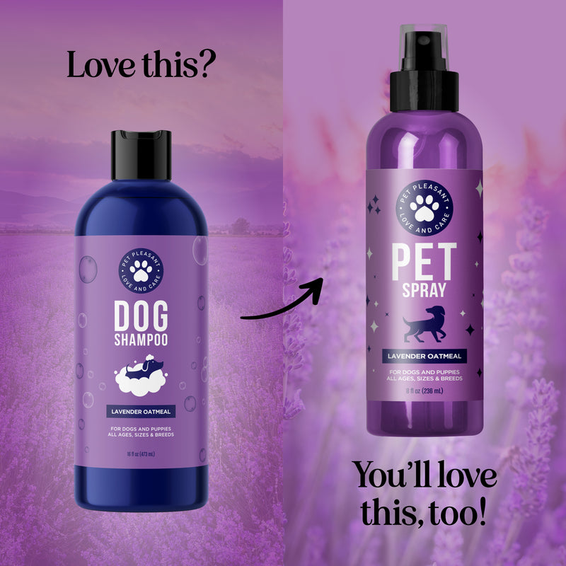 Lavender Oatmeal Pet Shampoo