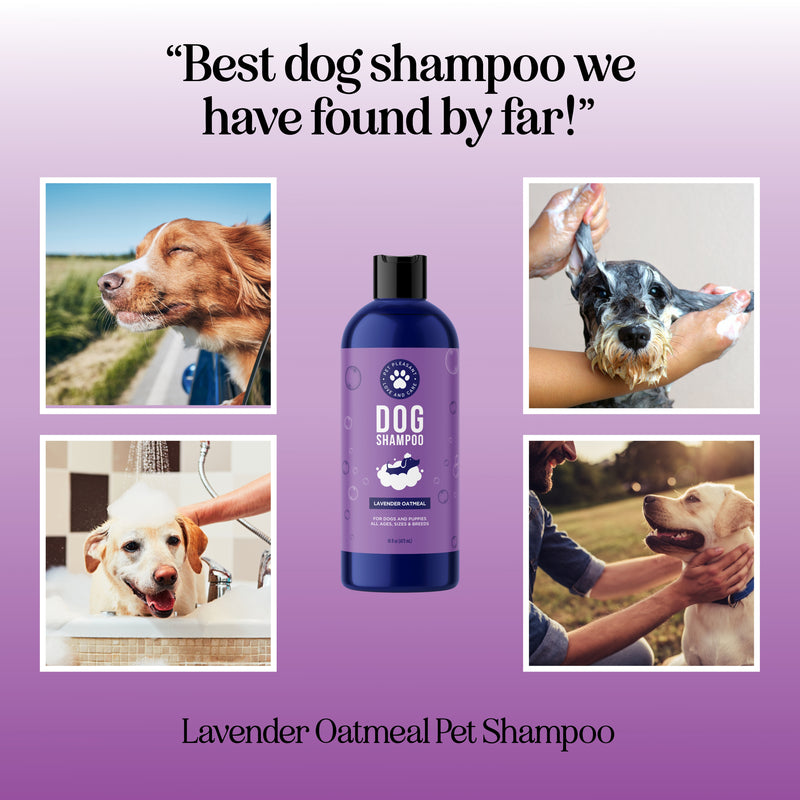 Lavender Oatmeal Pet Shampoo