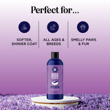 Lavender Oatmeal Pet Shampoo