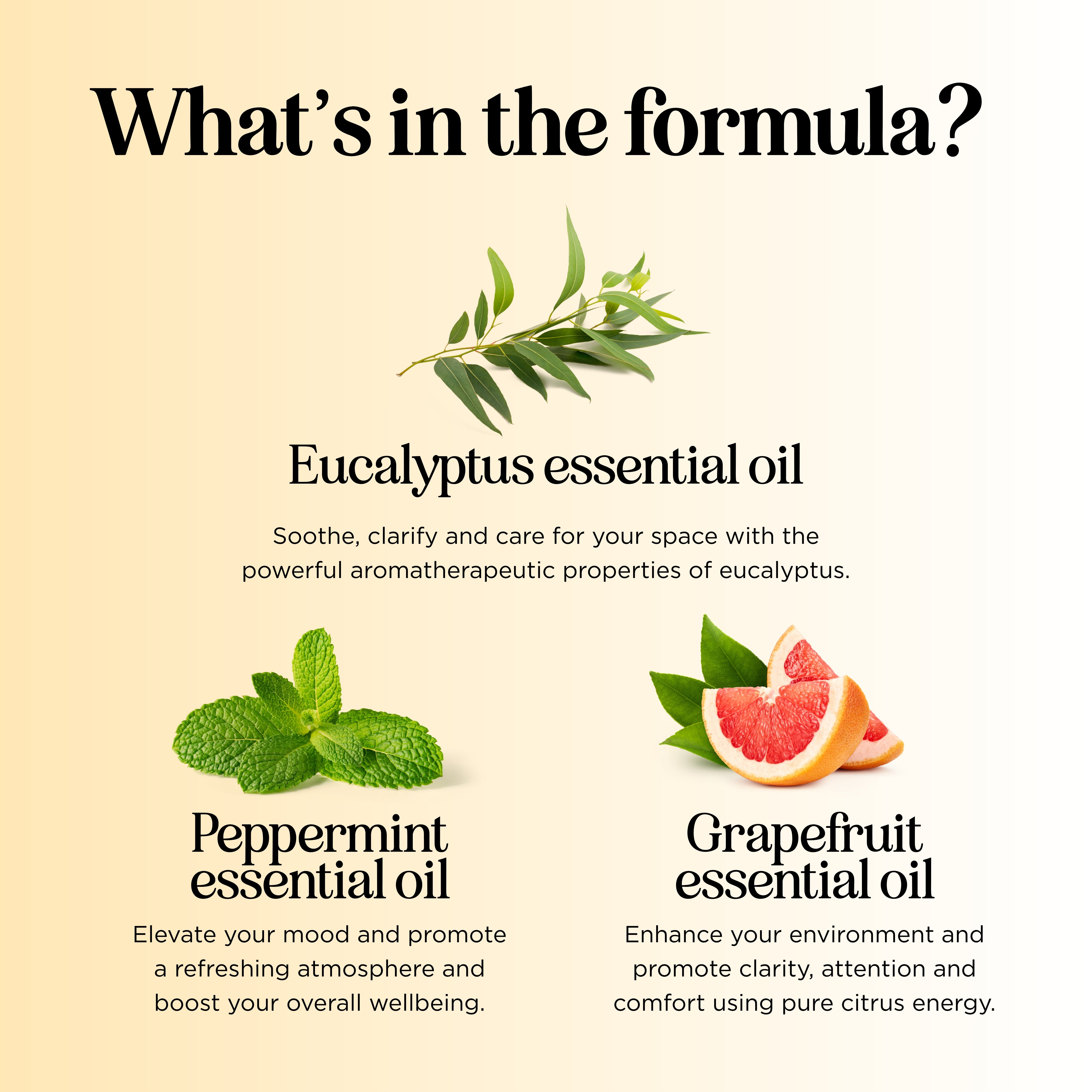 Focus Essential Oil Blend Roll-On